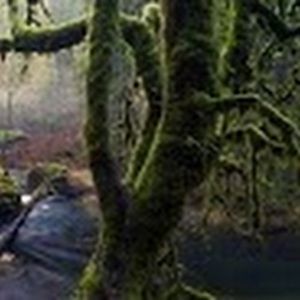 Meet your Posher, Shai